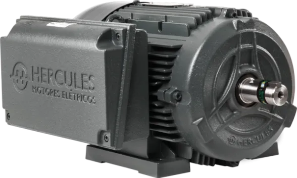 Motor Elétrico Padrão Monofásico IP 55