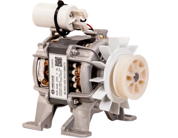 Motor Elétrico Tipo Tanquinho - IP00